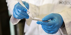 Nachhaltiges Kleben: Viele Facetten und hohes Potenzial